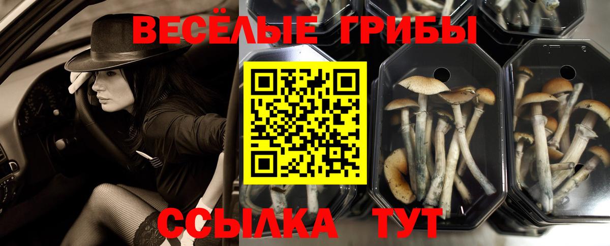 сколько стоит  Вход с VPN  Пыть-Ях  Галлюциногенные грибы прущие грибы 
