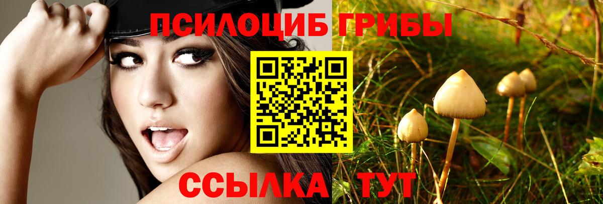 Галлюциногенные грибы ЛСД Пыть-Ях